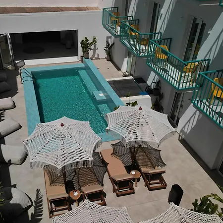 Hotel Play A Member Of Brown