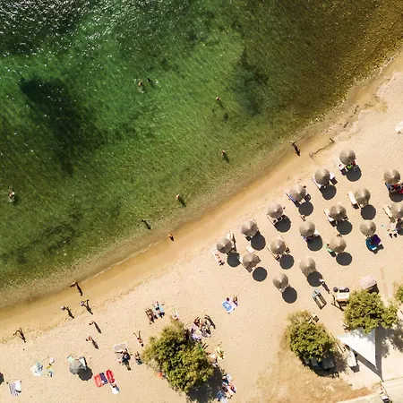 Play A Member Of Brown Hotel *