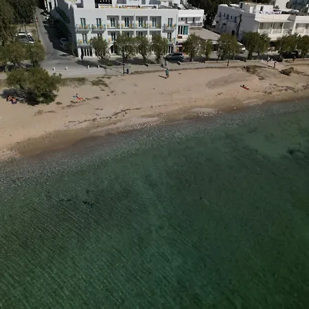 Play A Member Of Brown * Páros